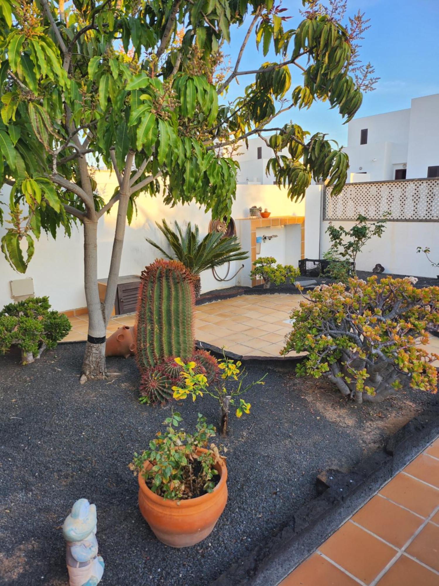 Casa La Bufona Villa อาร์เรซิเฟ ภายนอก รูปภาพ